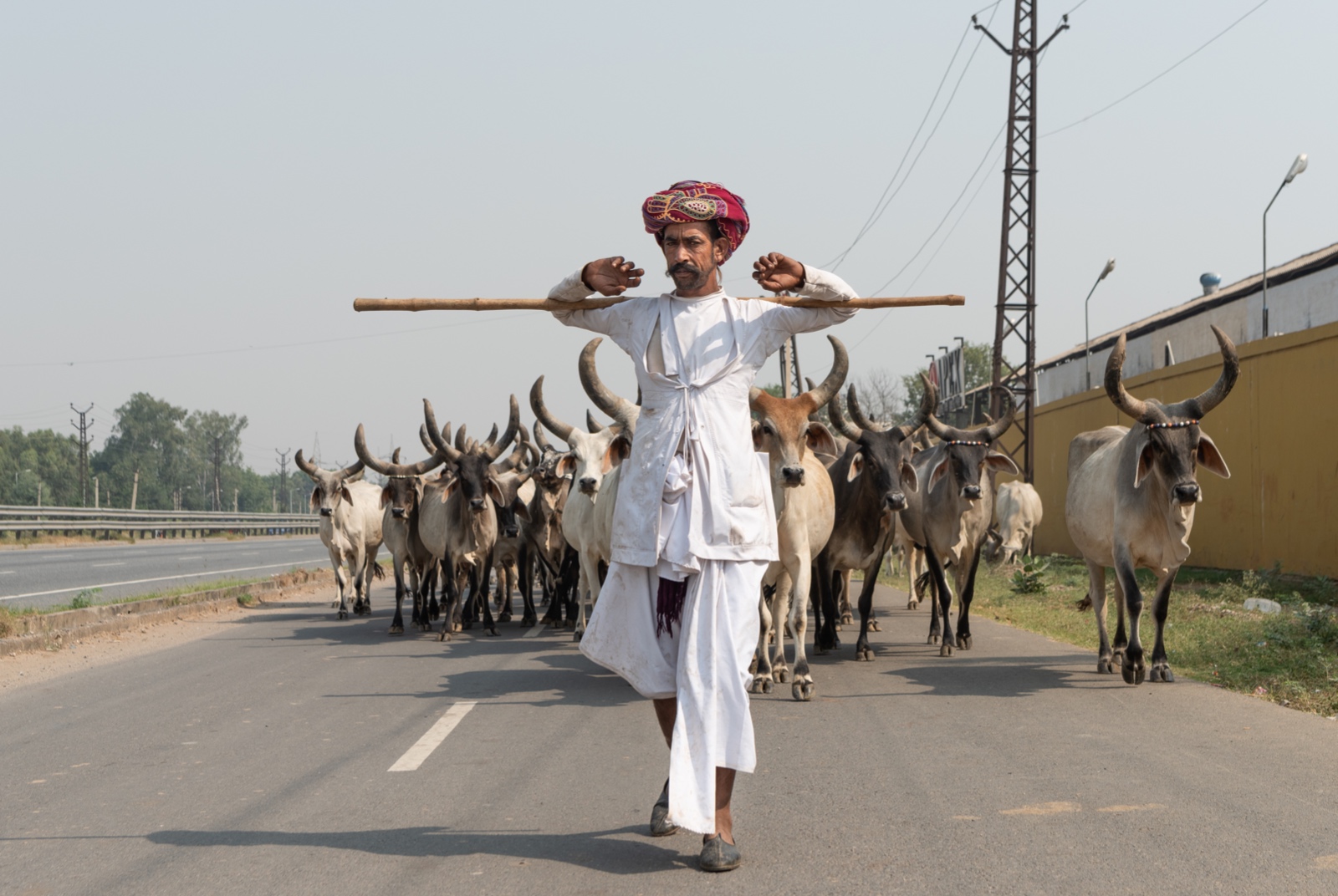 India 17