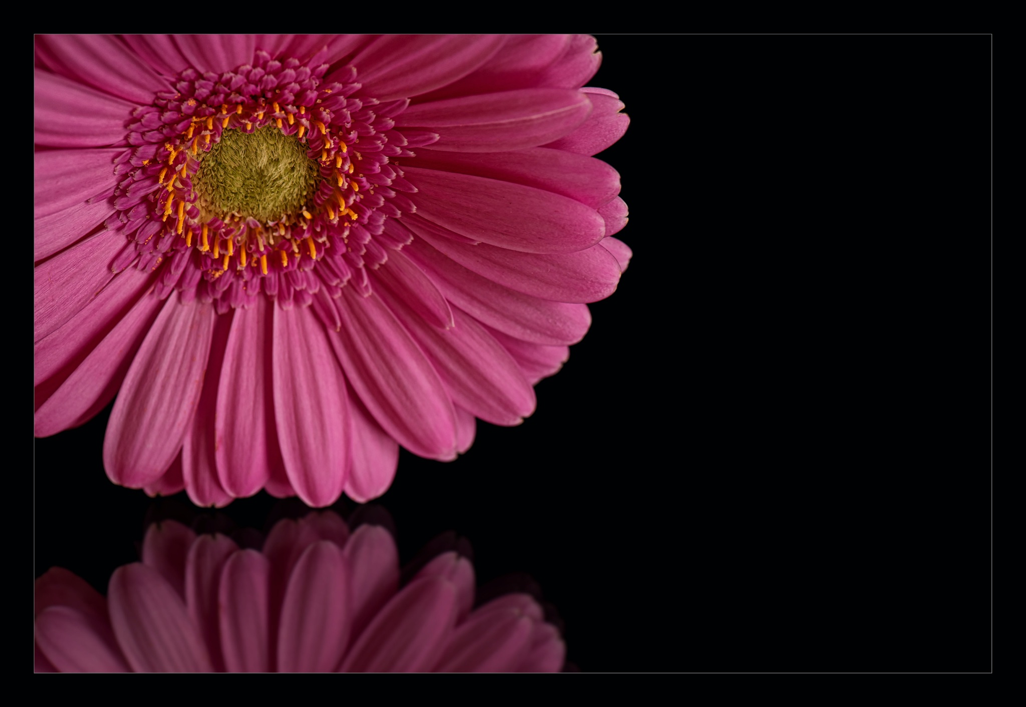 Bloemen