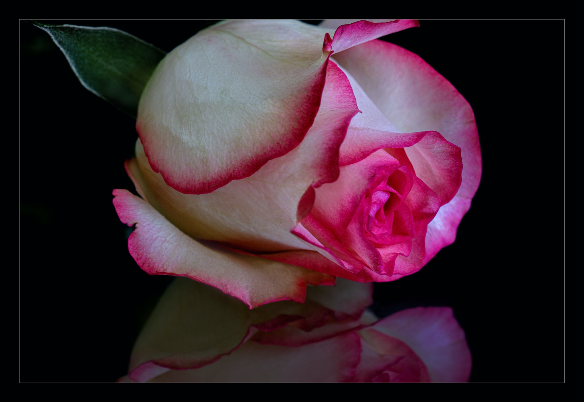 Bloem 2